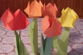 Tulipány z papiera - fotopostup, fotopostup, deja