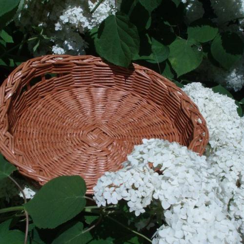 Podnos