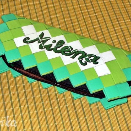 Pencil case for my sister