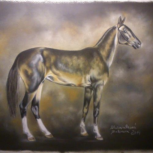 ACHAL TEKE 2