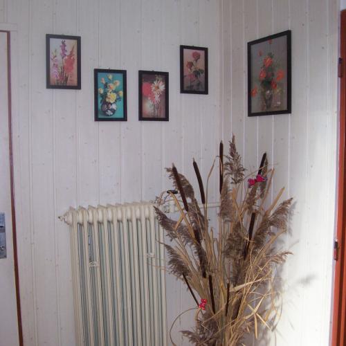 tráva a pálky v chodbe