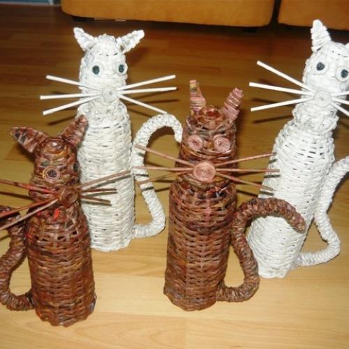 Cicušky 
