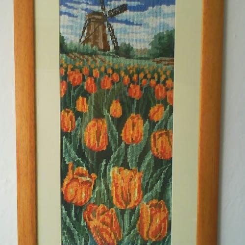Tulipány