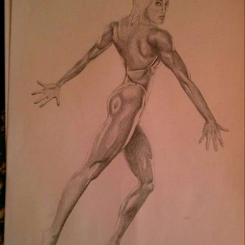 figura fitnesky