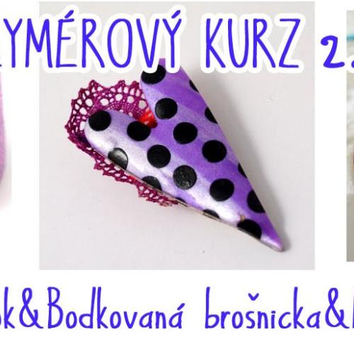 celodenny kurz