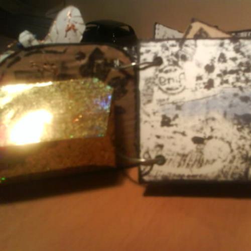 Mini album pre Alexa