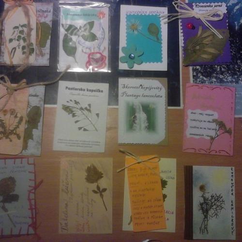 ATC-Herbarium 