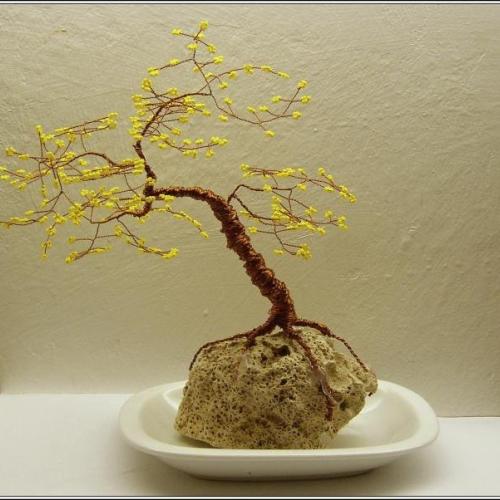 Korálkový stromček- bonsai
