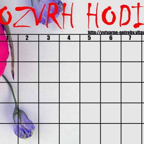 rozvrh 1