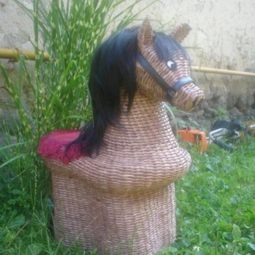 konik
