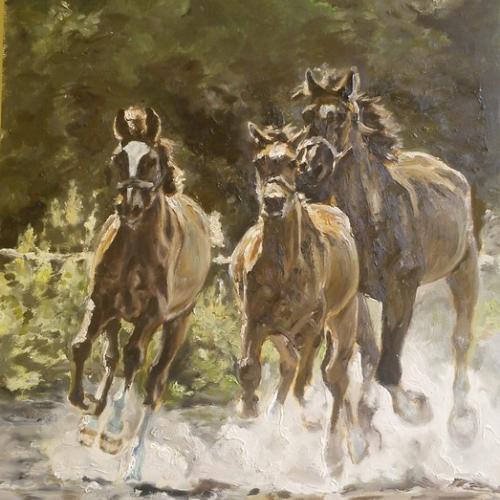 galop