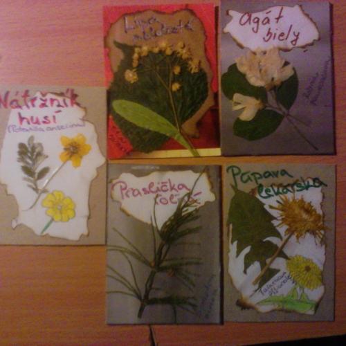 ATC Herbarium 2
