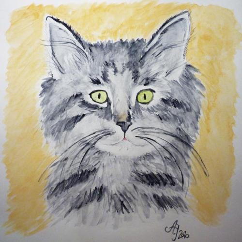 Katze Aqua