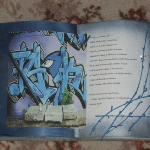 robená na objednávku pre milovníka grafittov