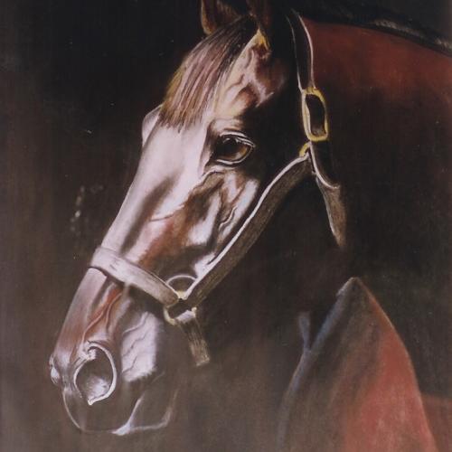 SEATTLE SLEW.PORTRET PLEMENNEHO ZREBCA.