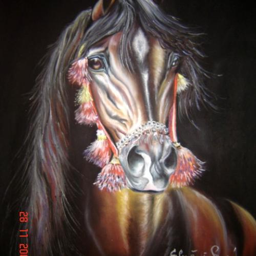 OBRAZ PRE TEBA  lia6. ARAB PORTRET. 