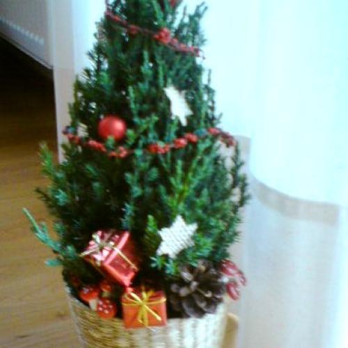 stromček do triedy pre mojich prvákov