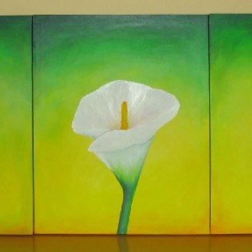 Môj prvý trojobraz kálie 120x50