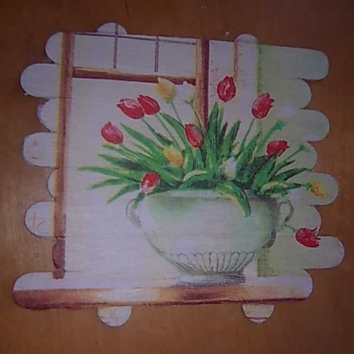 tulipaniky