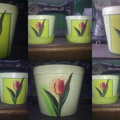 Tulipánkové