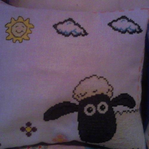 Ovecka Shaun