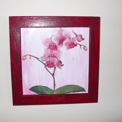 Obrazok - Orchidea 
