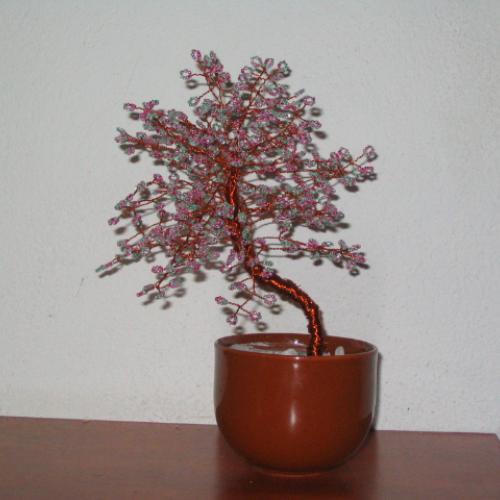 bonsai pre krstnu mamu
