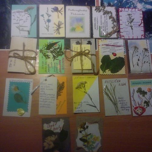 ATC Herbarium 