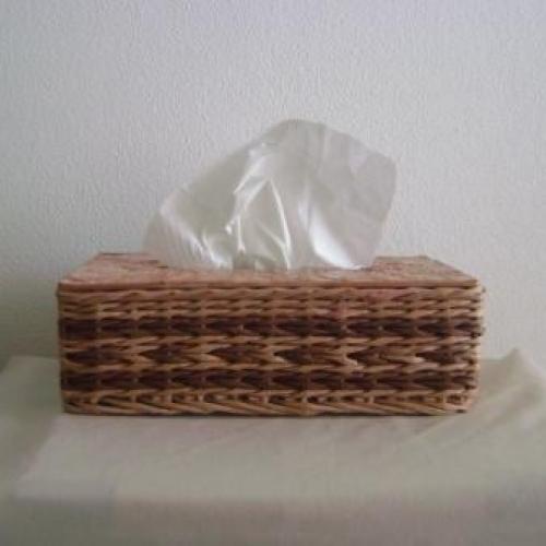 kapesníkovník