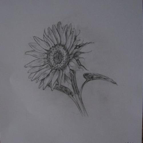 Artmama.sk