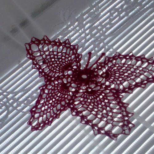 motyl