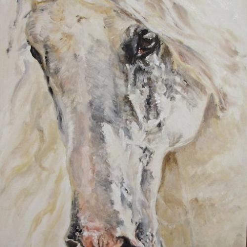 konik