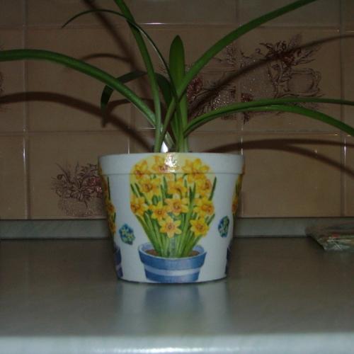 crepnik