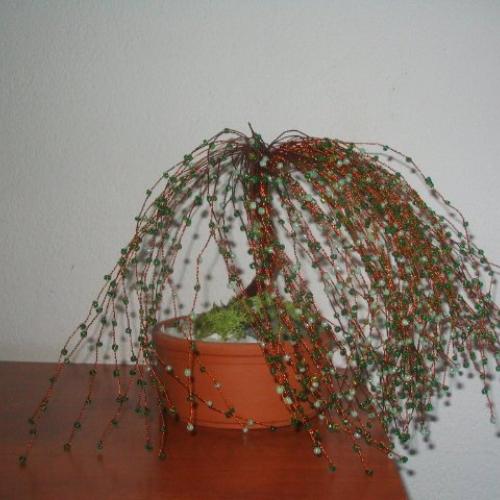 dalsia vrba - pre Katku
