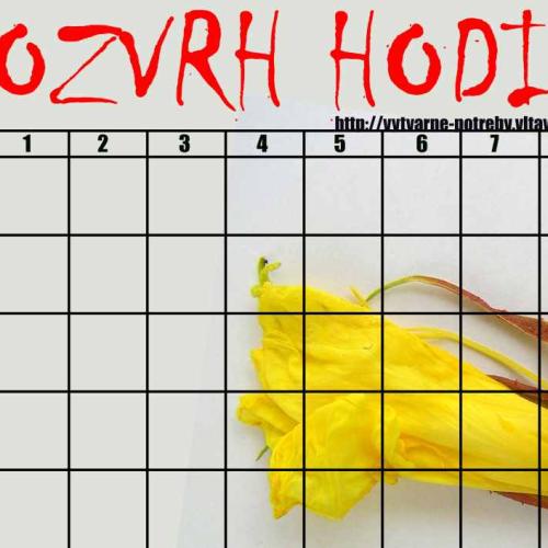 rozvrh 4