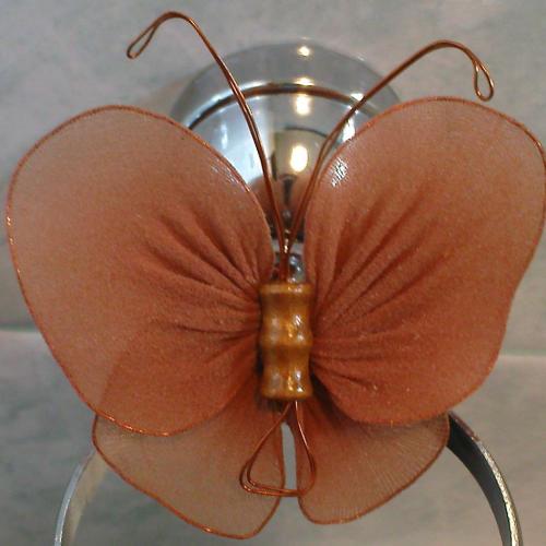motyl