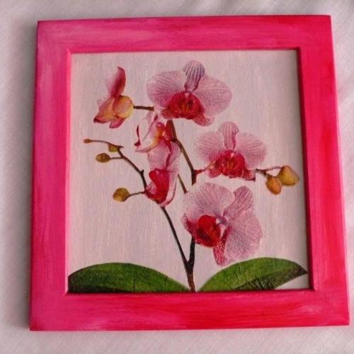 Obrazok - Orchidea 2.