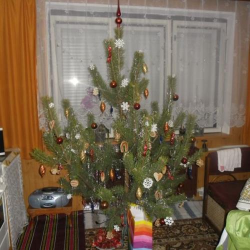 náš stromček