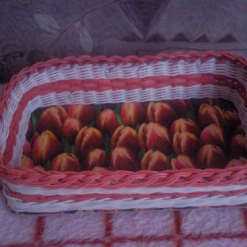 tulipány