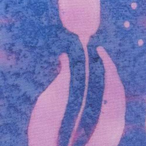 hod(vábenie) XI.- tulipán