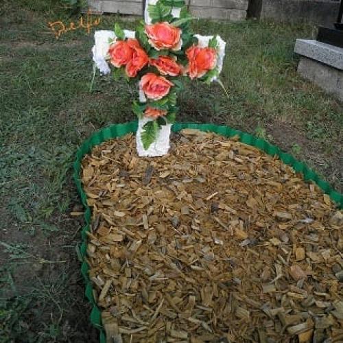 Oranžovvý kríž