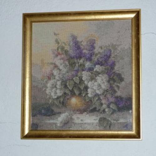 Kytica orgovánov