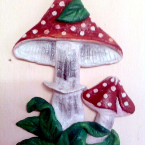 muchotravka