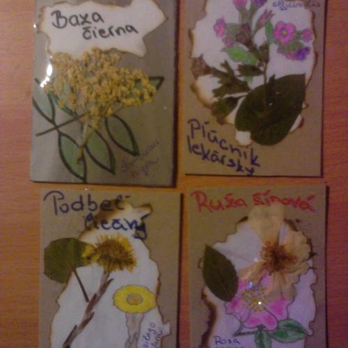 ATC Herbarium 