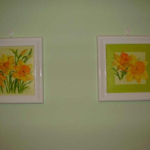 Narcisky