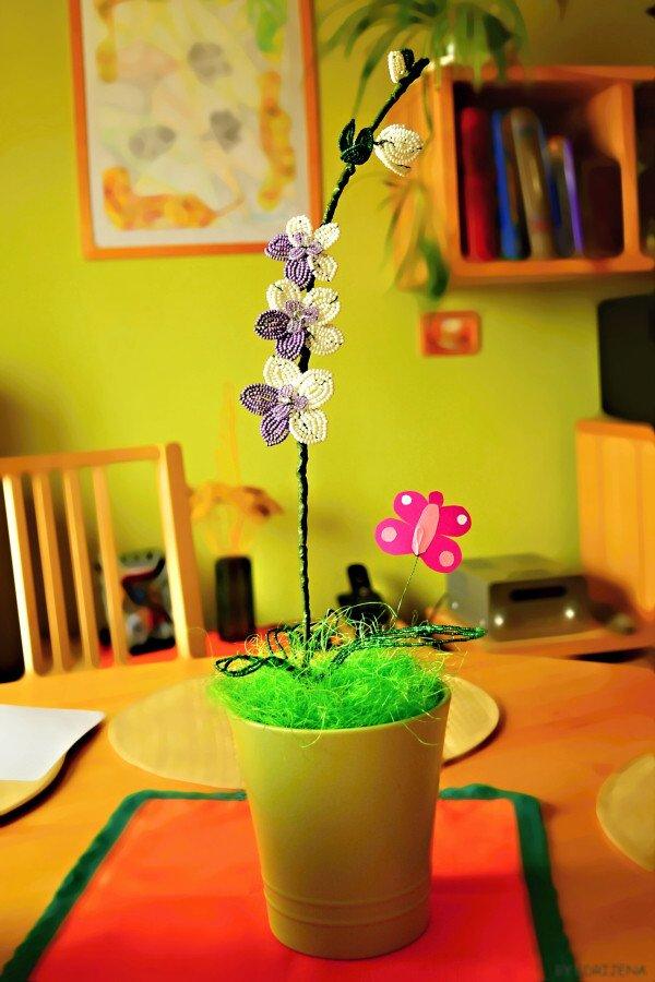 skúšala som i ja orchideu, Korálky skúšala som i ja orchideu, Korálky, adriana842, 1