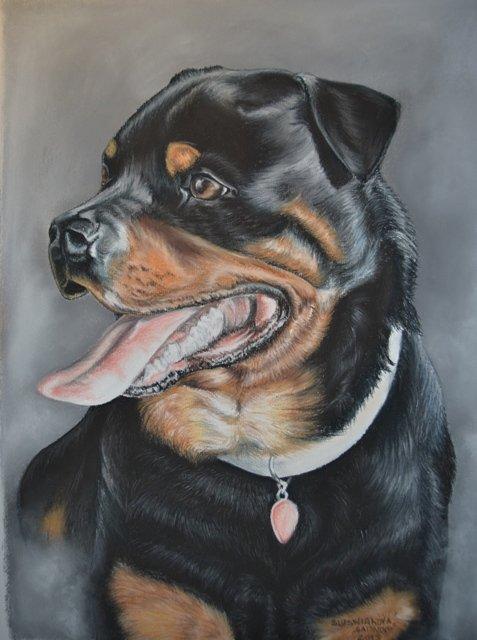 Portret Bart, Maľovanie Portret Bart, Maľovanie, , 1