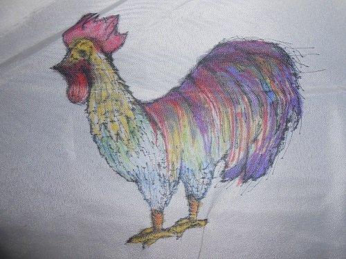 kohutik kohutik, Evonka, 1