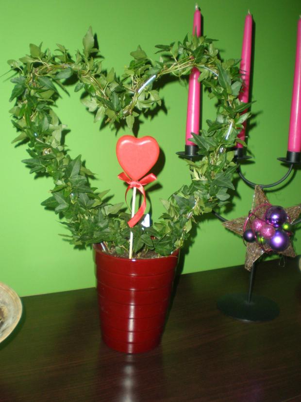 valentínska kvetinka valentínska kvetinka, maťa 27, 1