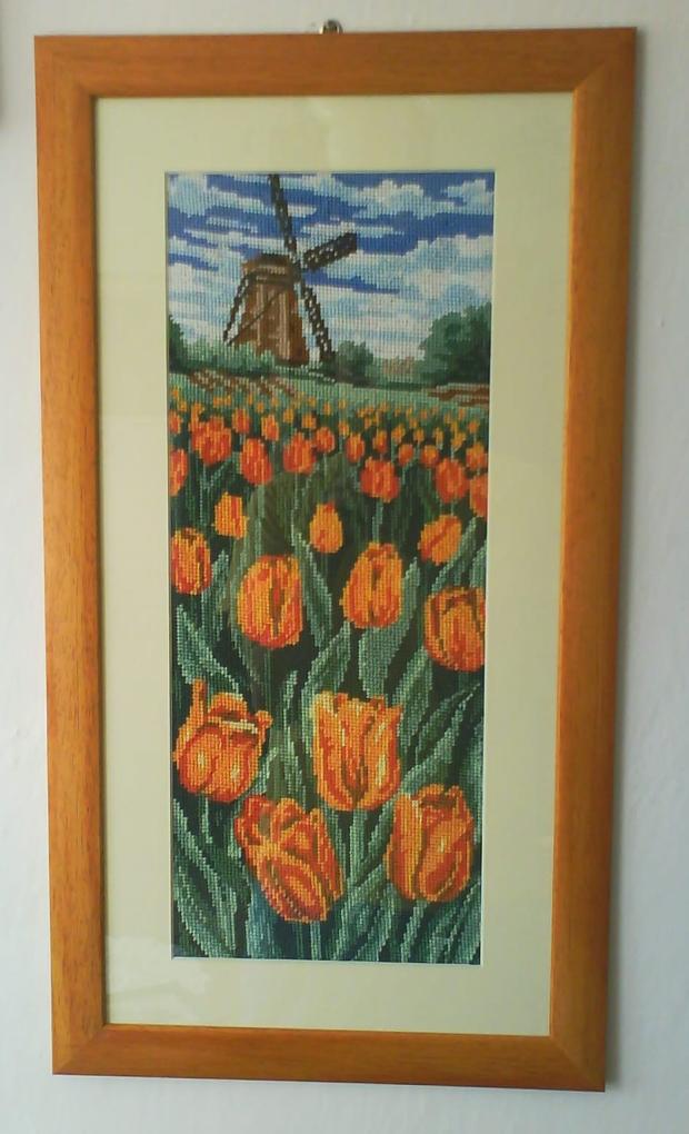 Tulipány, Vyšívanie, Janka11, 1